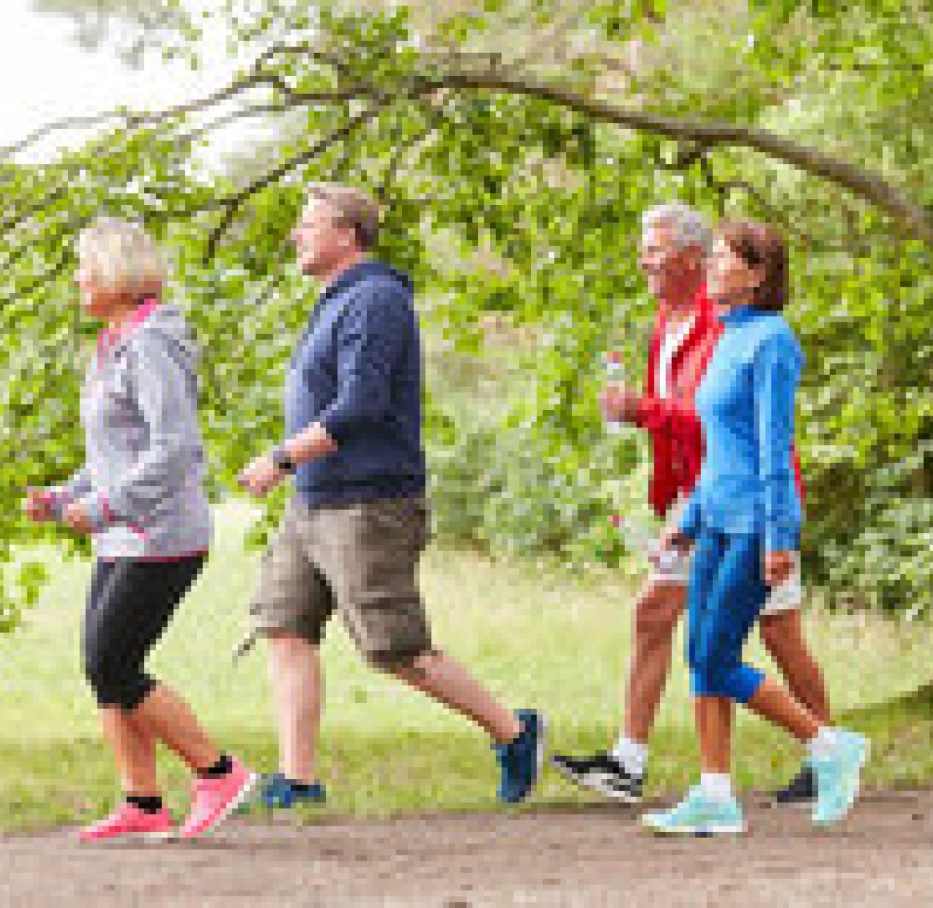 Vier mensen maken een wandeling in de natuur